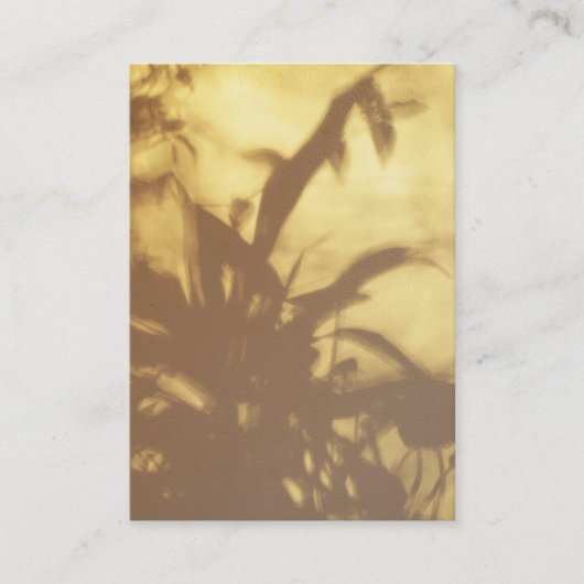 シャドウATC 名刺 (正面)