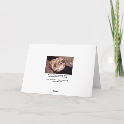 シャドーアリゾナ写真と石化された木材ログ カード (裏面)