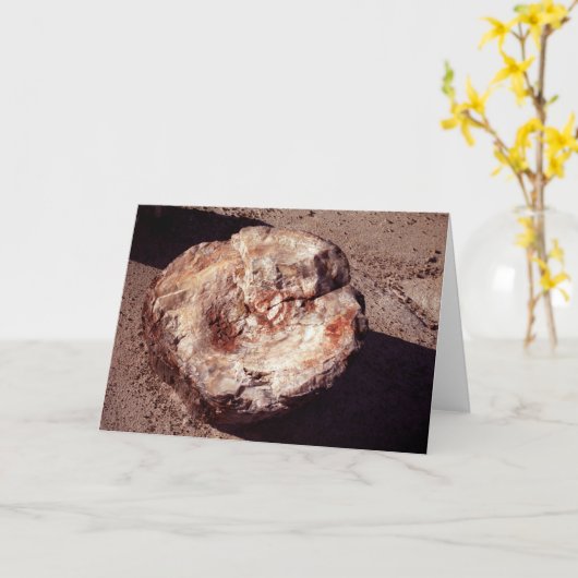 シャドーアリゾナ写真と石化された木材ログ カード (黄色い花)