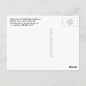 シャドーアリゾナ写真と石化された木材ログ ポストカード (裏面)