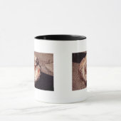 シャドーアリゾナ写真と石化された木材ログ マグカップ (中央)