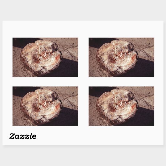 シャドーアリゾナ写真と石化された木材ログ 長方形シール (シート)