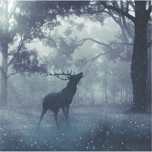 シャドーイの森に〔雄ジカの〕枝角を持つ鹿 シール (正面)