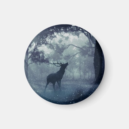 シャドーイの森に〔雄ジカの〕枝角を持つ鹿 マグネット (正面)