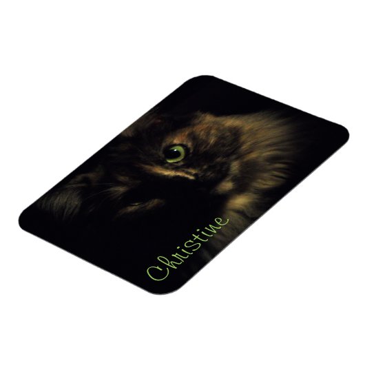 シャドーキャットアート写真グリーンアイズ子猫 マグネット (左側)