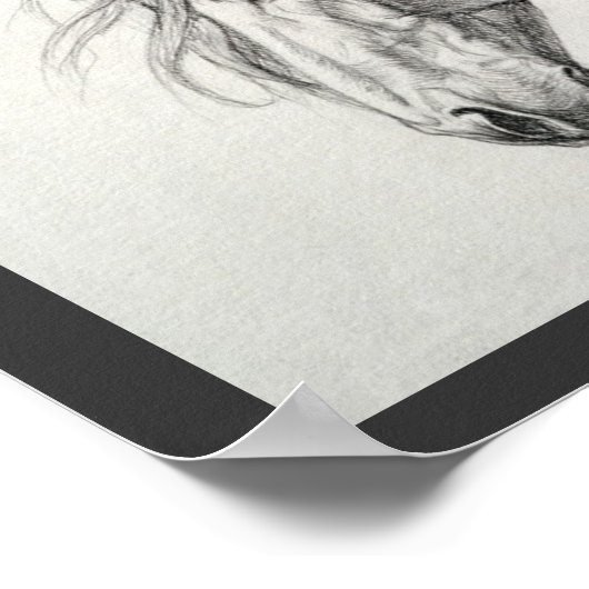 シャドーファックス ポスター (角)