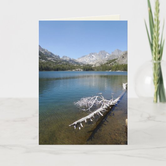 シャドー湖の白い木空白の内側 カード (正面)