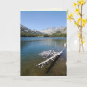 シャドー湖の白い木空白の内側 カード (黄色い花)