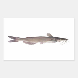 シャネルナマズ – 淡水魚釣り 長方形シール