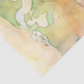 シャビーウォーター色のヴィンテージスーツケースの世界地図 薄葉紙 (詳細)