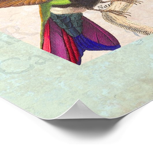 シャビーエレガンスヴィンテージファッションコラージポスター ポスター (角)