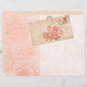 シャビーストライプ紙&コラージスクラップブック (正面/裏面)