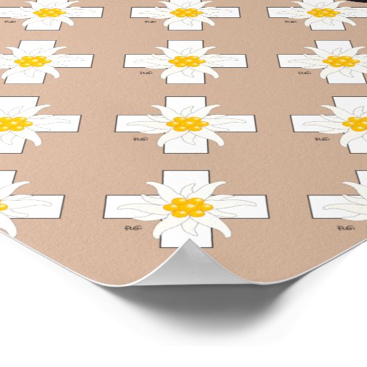 シャフハウゼン – シュウィズ – スイス – Svizzera Poster ポスター (角)