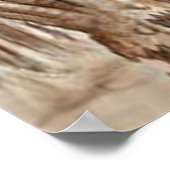 シャブ・ニグラス ポスター (角)