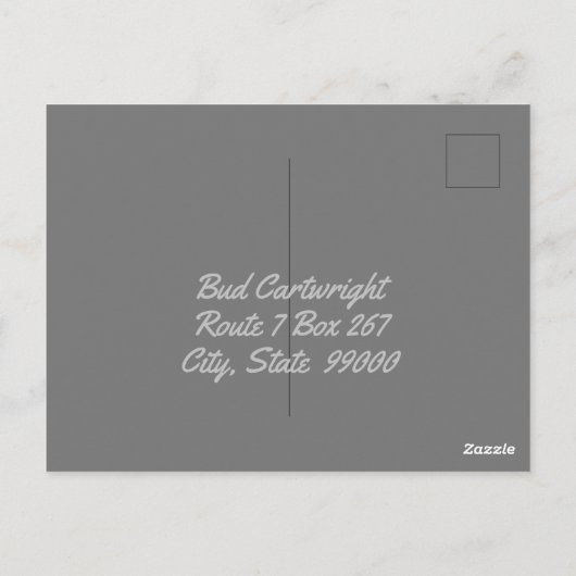 シャプスを着たカウボーイヴィンテージ ポストカード (裏面)