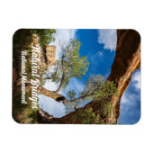 シャプー橋、ナチュラルブリッジナチュラルブリッジナショナルモニュメント マグネット (横)