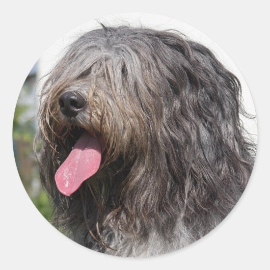 シャペンス ラウンドシール (正面)