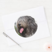 シャペンス ラウンドシール (封筒)