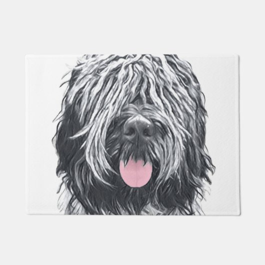 シャペンドオランダ ドアマット (正面)