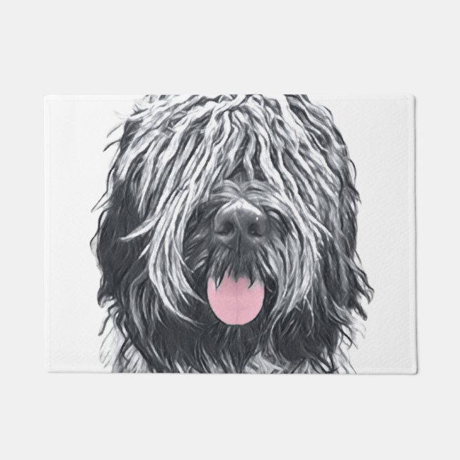 シャペンドオランダ ドアマット (正面)