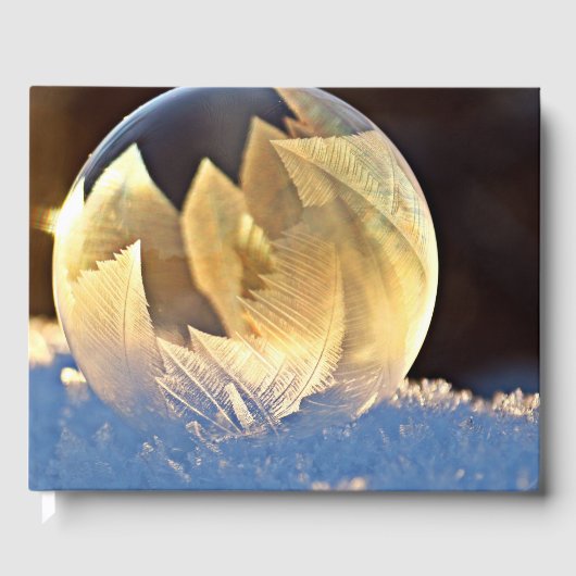 シャボン玉の雪 ゲストブック (正面)