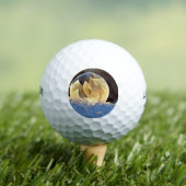 シャボン玉の雪 ゴルフボール (インサイチュ 木)