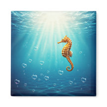 シャボン玉ハート