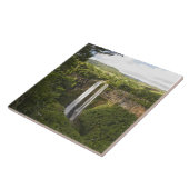 シャマレルの滝 – モーリシャスで最高、2以上 タイル (側面)