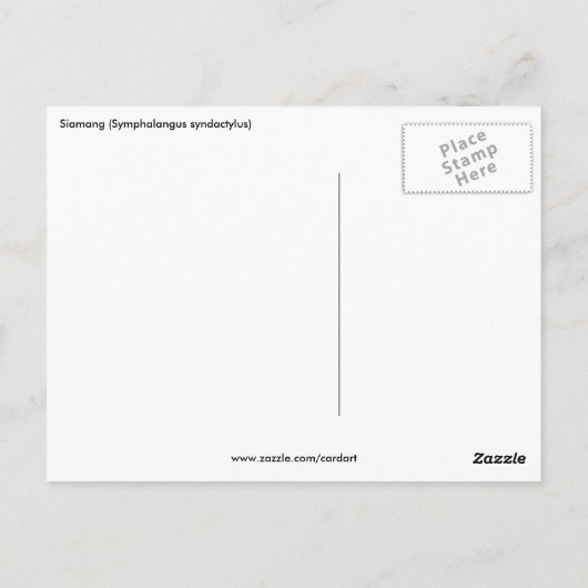 シャマン波 ポストカード (裏面)