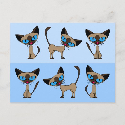 シャミータイムズ3葉書 ポストカード (正面)