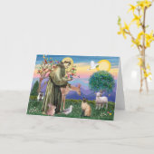 シャミーネコと聖フランシス カード (黄色い花)