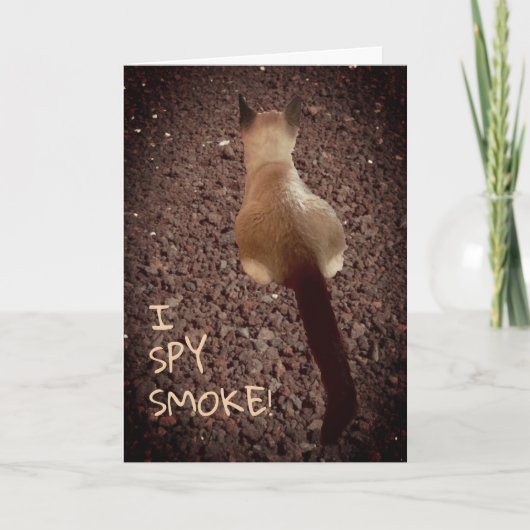 シャムおもしろいゼ子猫お尻写真誕生日 カード (正面)