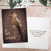 シャムおもしろいゼ子猫お尻写真誕生日 カード