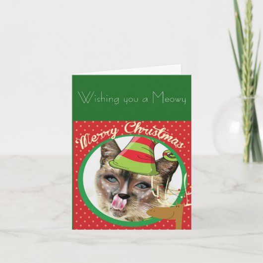 シャムおもしろいネコのクリスマスカード シーズンカード (正面)