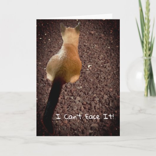 シャムおもしろいーキットンお尻フォトベレーション誕生日 カード (正面)