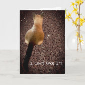 シャムおもしろいーキットンお尻フォトベレーション誕生日 カード (黄色い花)