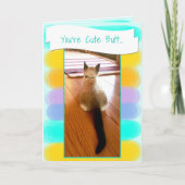 シャムおもしろいーキットンお尻写真のプレースホルダー カード (正面)