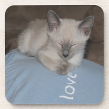 シャムの子ネコのコースター