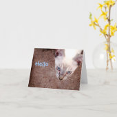 シャムの子ネコのメッセージカード"こんにちは" カード (黄色い花)