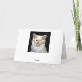 シャムの子ネコの誕生日のユーモア カード (裏面)