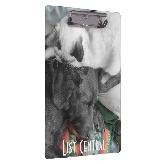 シャムの子ネコはラブラドールの頭部に愛情をこめてあります クリップボード (右)