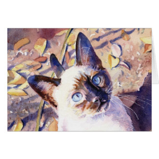 シャムの子ネコ