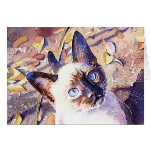 シャムの子ネコ (正面横)