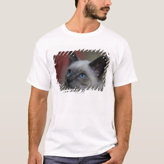 シャムの子ネコ Tシャツ (正面)