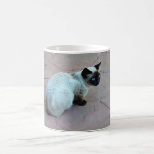 シャムの子猫 コーヒーマグカップ (中央)