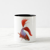 シャムの戦いの魚(Bettaのsplendens) ツートーンマグカップ (中央)