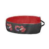 シャムの戦闘魚 アスレチックヘッドバンド (右)