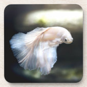 シャムの白身魚 コースター (正面)
