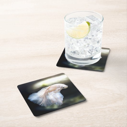 シャムの白身魚 スクエアペーパーコースター (インサイチュ)