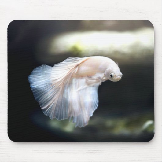 シャムの白身魚 マウスパッド (正面)